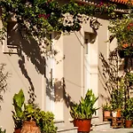 Garden * Alykes (Zakynthos)